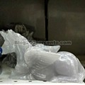 avista saldos cnt 21 janeiro_5.jpg